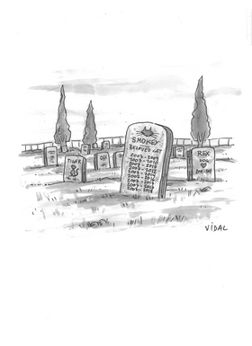 Read New Yorker Cartoons  1 Page 2 in English