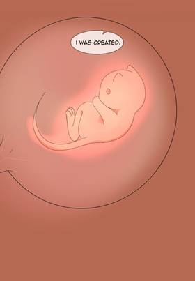 Read A Girl With Lobster Arms  9 Page 6 in English