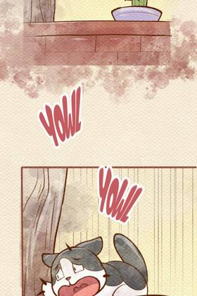 Read Pawesome Gatitos  91 Page 8 in English