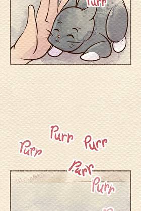 Read Pawesome Gatitos  68 Page 3 in English