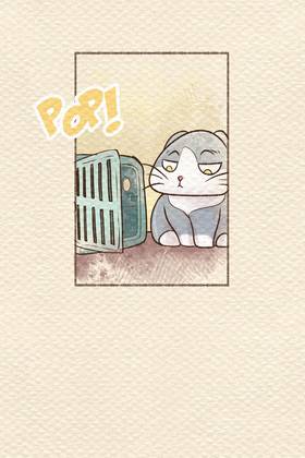 Read Pawesome Gatitos  70 Page 3 in English