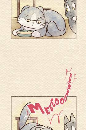 Read Pawesome Gatitos  80 Page 2 in English