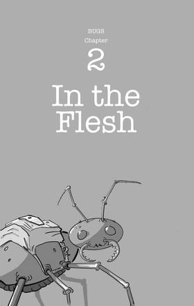 Read BUGS  2 Page 1 in English