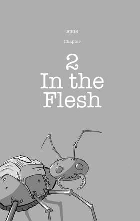 Read BUGS  2 Page 1 in English