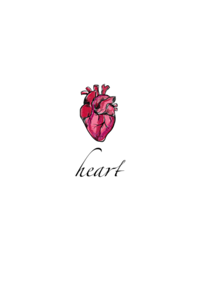 Read How to steal a heart  1 Page 5 in English