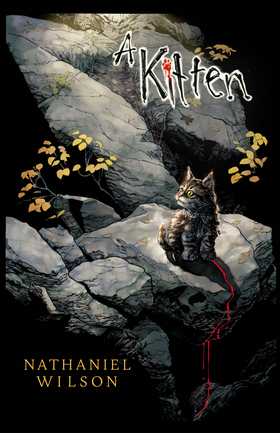 Read A Kitten  1 Page 1 in English