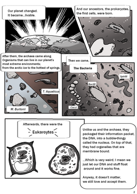 Read Bacterial Tales from Beyond The Microbiome  1 Page 2 in English