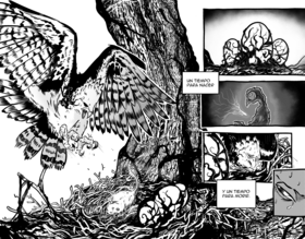 Read Aotus  1 Page 6 in Spanish