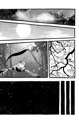 Read Aotus  1 Page 8 in Spanish