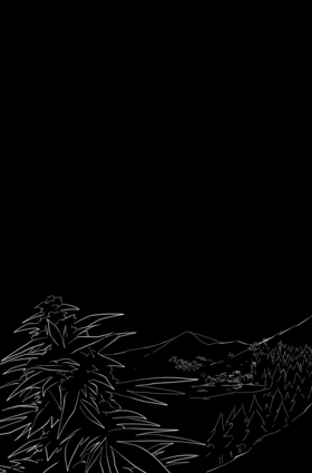 Read  Blood Feud - An Albanian Story   1 Page 2 in English