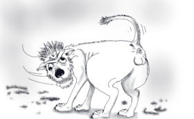 Read "All Rounder M.H"  1 Page 10 in English