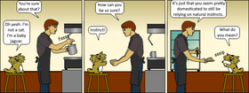 Read Java Jaguar  1 Page 4 in English
