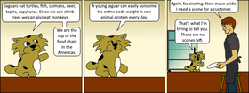 Read Java Jaguar  1 Page 9 in English