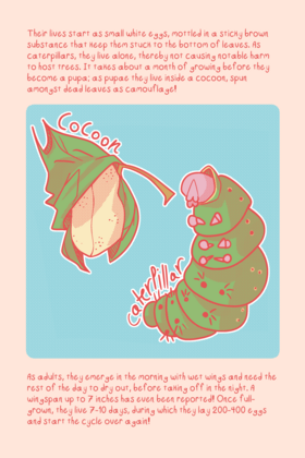 Read Influencer Moths  1 Page 5 in English