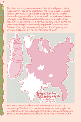 Read Influencer Moths  1 Page 7 in English