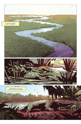 Read Far Cry  1 Page 3 in English