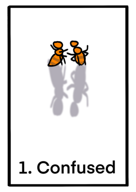 Read The slightly confused ants  1 Page 1 in English