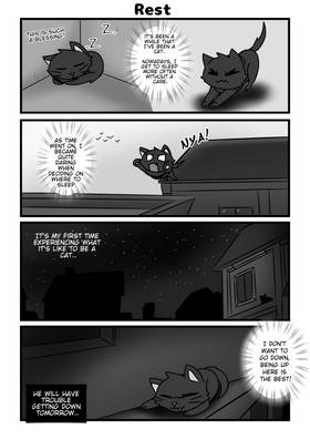 Read I was Reincarnated as a Cat & I Tried to Live My Life in Another World!  3 Page 6 in English