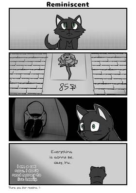 Read I was Reincarnated as a Cat & I Tried to Live My Life in Another World!  3 Page 10 in English
