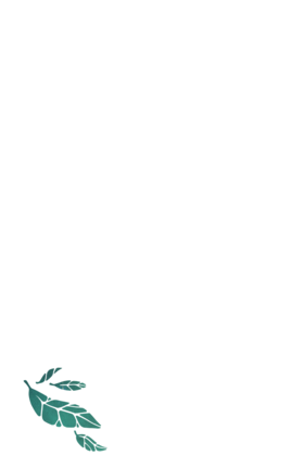 Read Firefly: Watch How I Soar  1 Page 3 in English