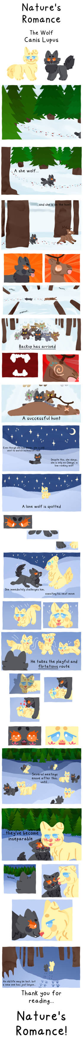 The Wolf: Canis Lupus