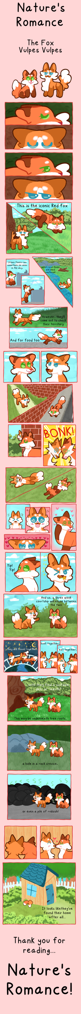 The Fox: Vulpes Vulpes 
